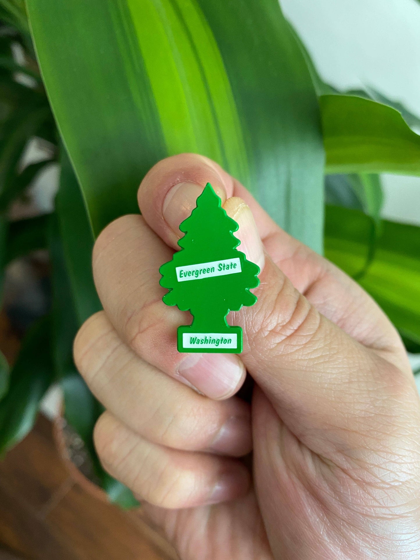 Evergreen Tree | Pin pin Hype Pins